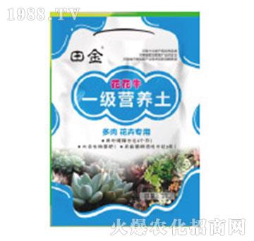 һ���I�B(y��ng)��-����ţ-�������