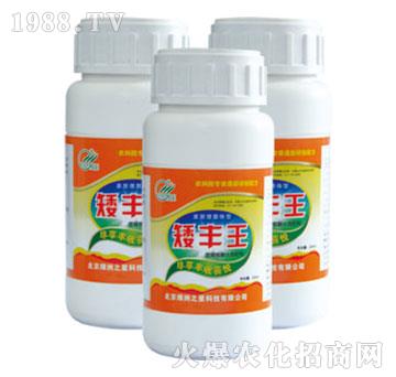 ���S��-�G��֮��