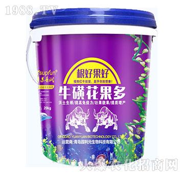 ���ǻ�����-�@��Ԫ