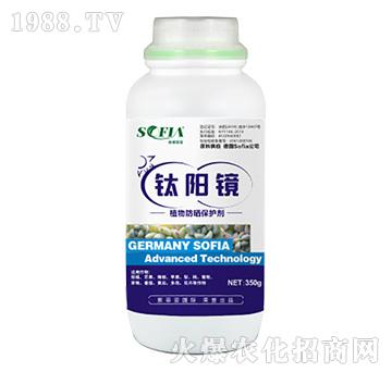 ֲ������o(h��)��-���R-���Ɓ�