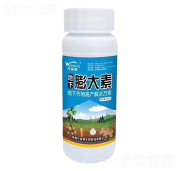 ���������-�f����