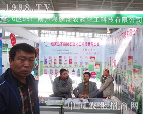 �i���r(n��ng)ˎ���ӵ�ʮ����ꖷ����p����(hu��)