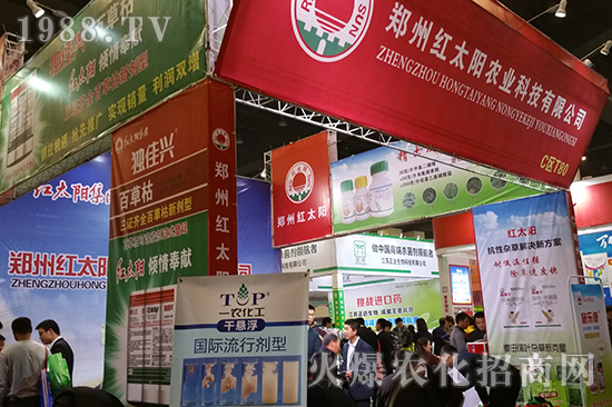 ɽ�|��������̩����2016�����r(n��ng)ˎ������