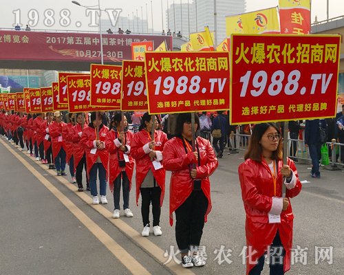 2017��ɽ�|ֲ����(hu��)���r(n��ng)������Ч����(qi��ng)��