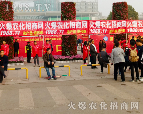     2017ɽ�|ֲ���p������1988.TVŬ��ƴ�����^����ǰ��