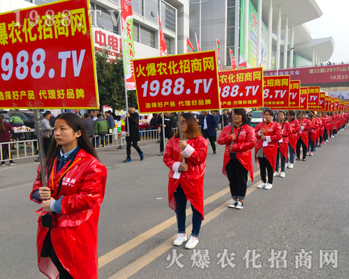 ��������(zh��n)����̤�������r(n��ng)���W(w��ng)����(zh��n)��23��ɽ�|ֲ����(hu��)