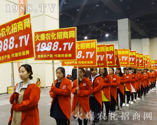     2017����ԭ���ϕ���1988.TV�����������ݲ��ɓ�