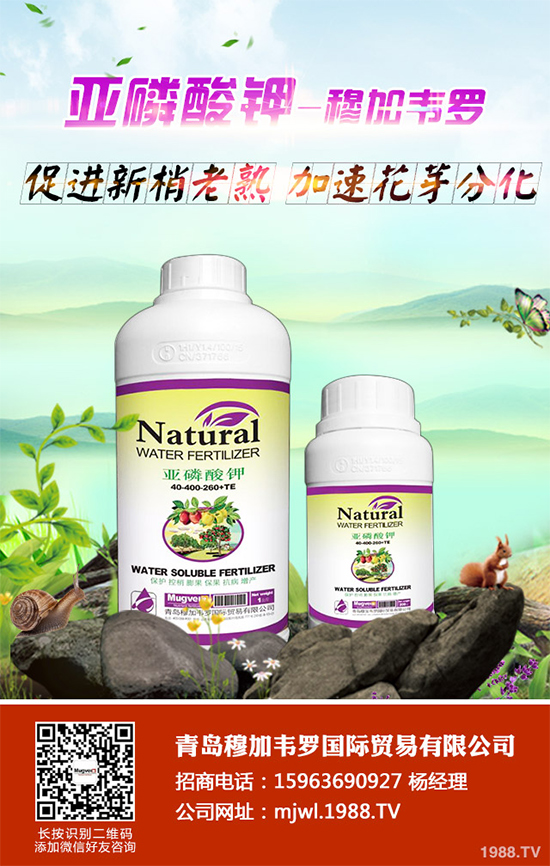 ���{(l��n)ܛ��������Щ�Y����F(xi��n)������ΰl(f��)���������{(l��n)ܛ�����A(y��)����ʩ