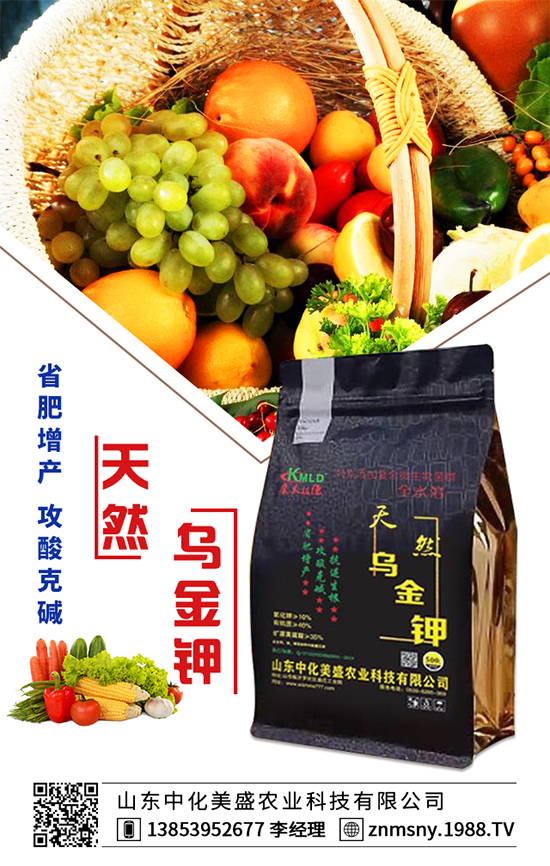 �۲˞�ʲô�����F(xi��n)���ģ��۲˿��ĵķ��δ�ʩ��