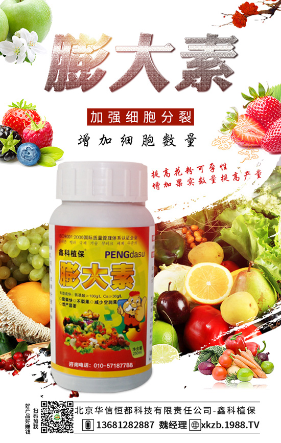 �����A�ź㶼�Ƽ�����؟�ι�˾-�ο�ֲ��