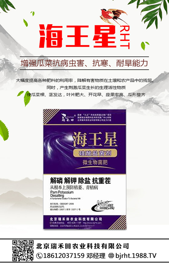 ���N�����B(y��ng)�������N���B(y��ng)ֳ������ע�����(xi��ng)��