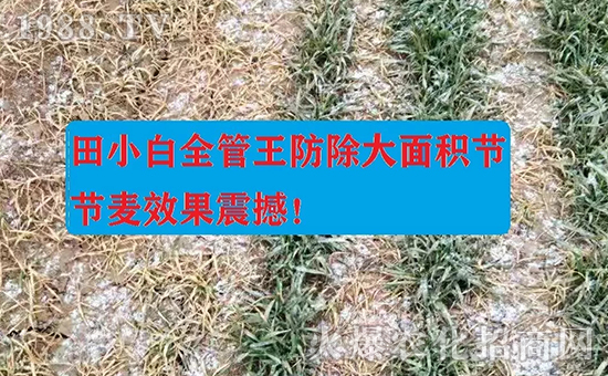 ��(ji��)��(ji��)����η�������ʲôˎ����ô��ˎЧ���ã�