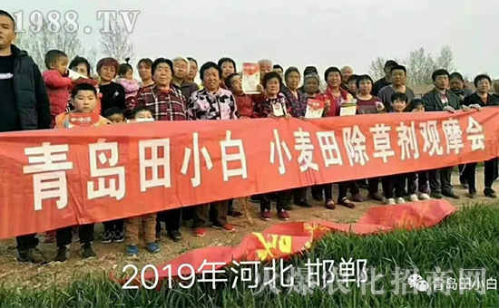 ��(ji��)��(ji��)����η�������ʲôˎ����ô��ˎЧ������