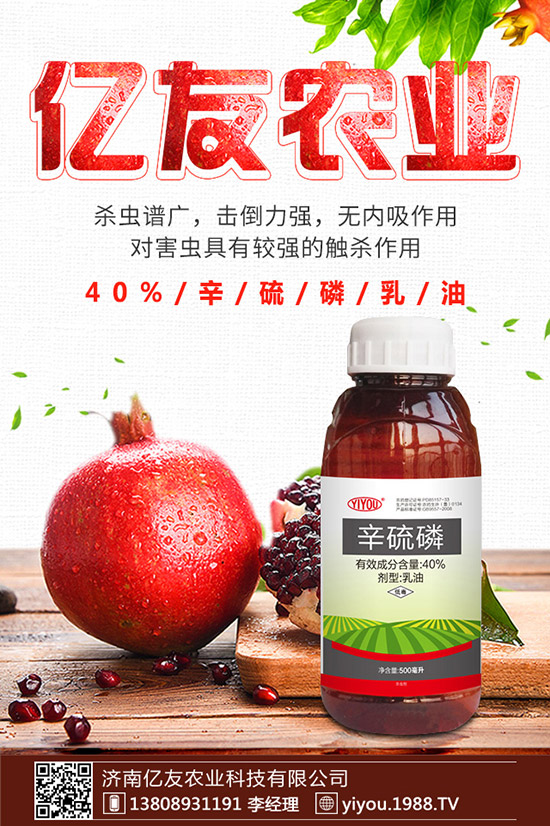 臘梅種子怎么種，臘梅種子種植方法！