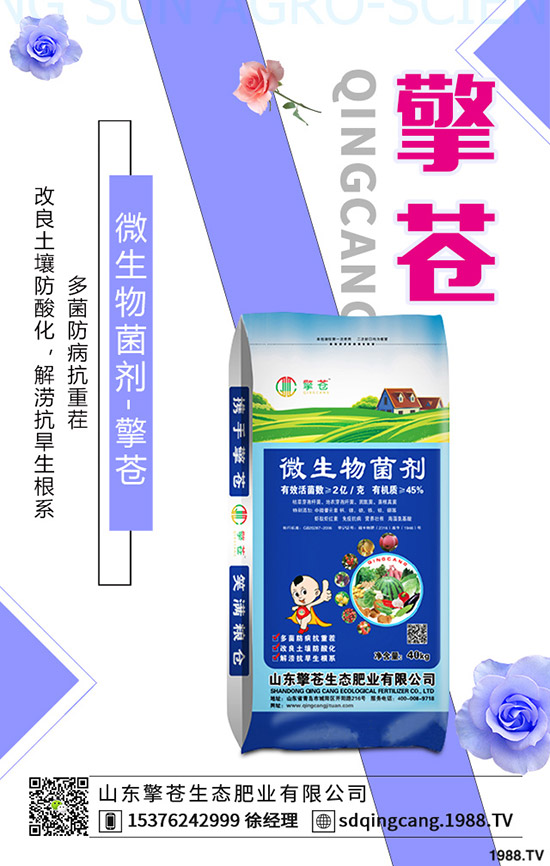     ���؃r(ji��)���ل�(chu��ng)�µͣ�2019��10����Ѯ��������C�Ϸ�����