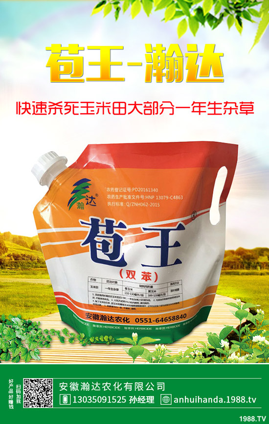 ʯ骻���ô�Nֲ��ʯ骻����B(y��ng)ֳ������