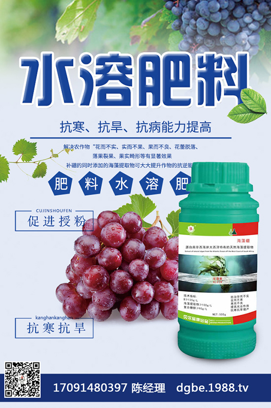 â����ô�N�ź���â���߮a(ch��n)�Nֲ������