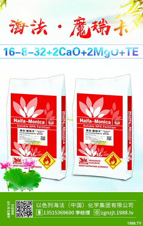     2019��10��31�ս��Շ�(gu��)��(n��i)���@�r(ji��)���߄�(sh��)���������u(p��ng)