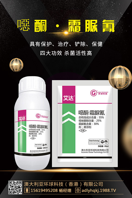     ������������xُ������������ُ�Iע�����(xi��ng)���`�^(q��)��
