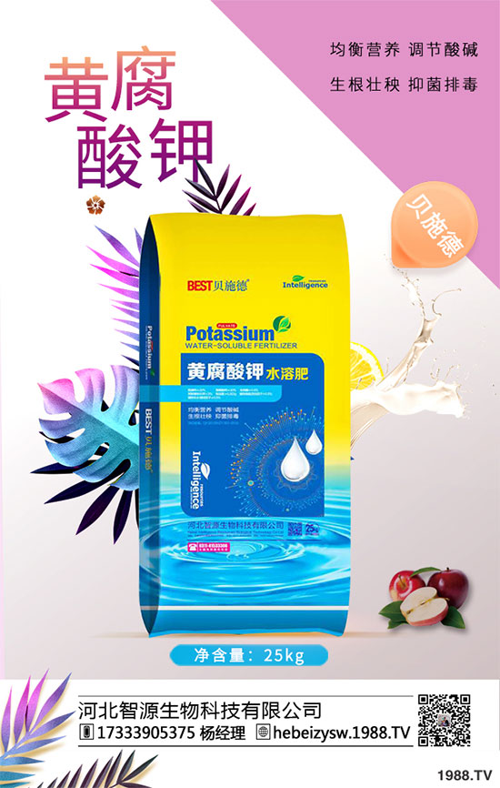 ����ը���ӷNֲ�����¹����༼�g��
