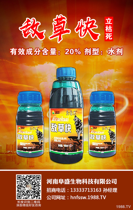 ����ͽ�L(zh��ng)��ʲôԭ��������ͽ�L(zh��ng)�Ľ�Q����
