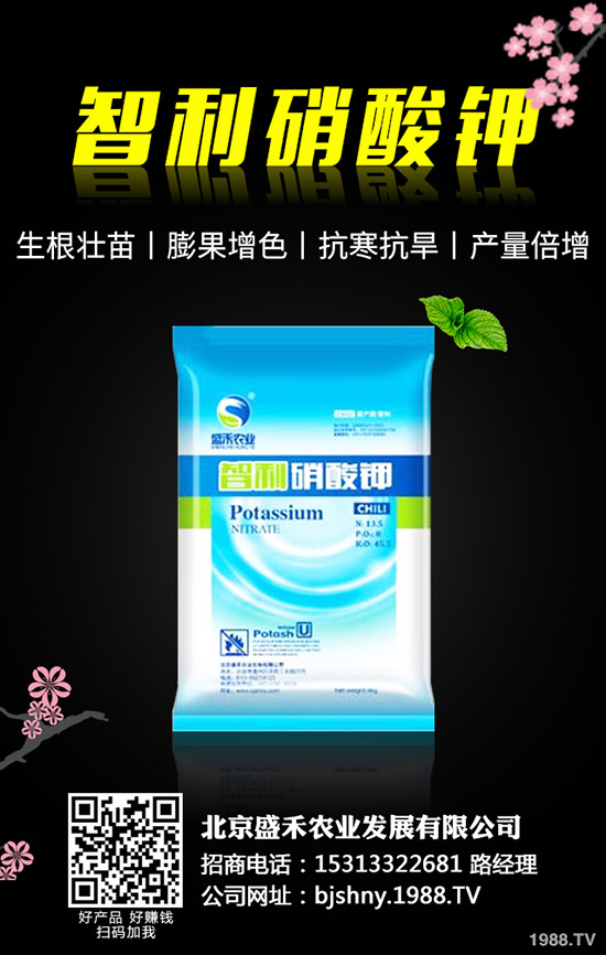 �ڶ�ʲô�r(sh��)��Nֲ���ڶ��ķNֲҪ�c(di��n)����Щ��