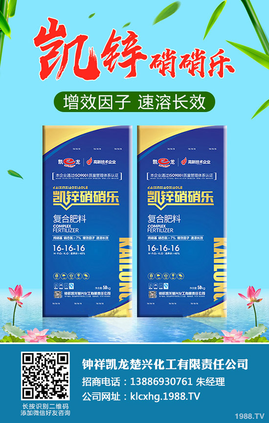 什么是有機(jī)大白菜,有機(jī)大白菜種植要點有哪些?