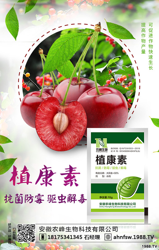 ��(d��ng)�w��ô�Nֲ����(d��ng)�w�NֲЧ�漰���༼�g(sh��)��