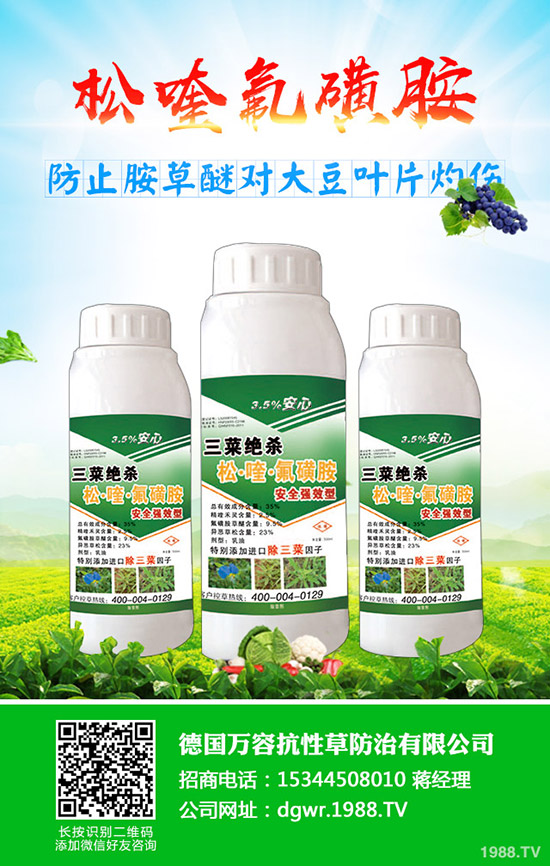 �S��ʲô�r�g�Nֲ���S���ķNֲ��������Щ��