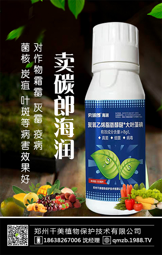 蘆筍什么季節(jié)種植？蘆筍常見(jiàn)病蟲害及防治！