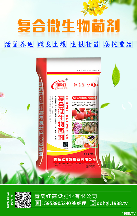 哪些地方適合種植白皮松？白皮松栽培技術(shù)管理