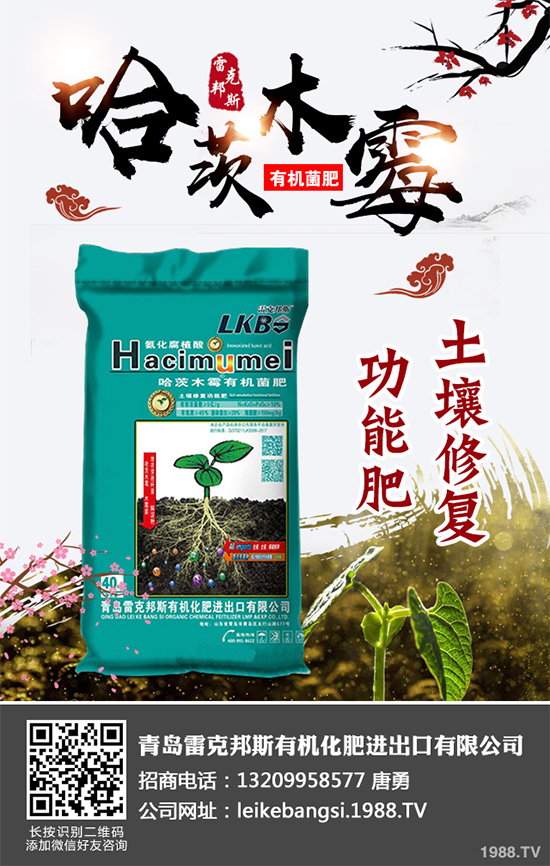 哪些地方適合種植白皮松？白皮松栽培技術(shù)管理