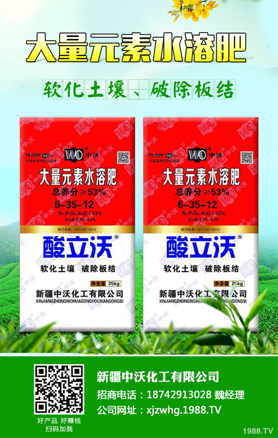 白皮松經(jīng)濟效益如何？2020白皮松的種植前景分析