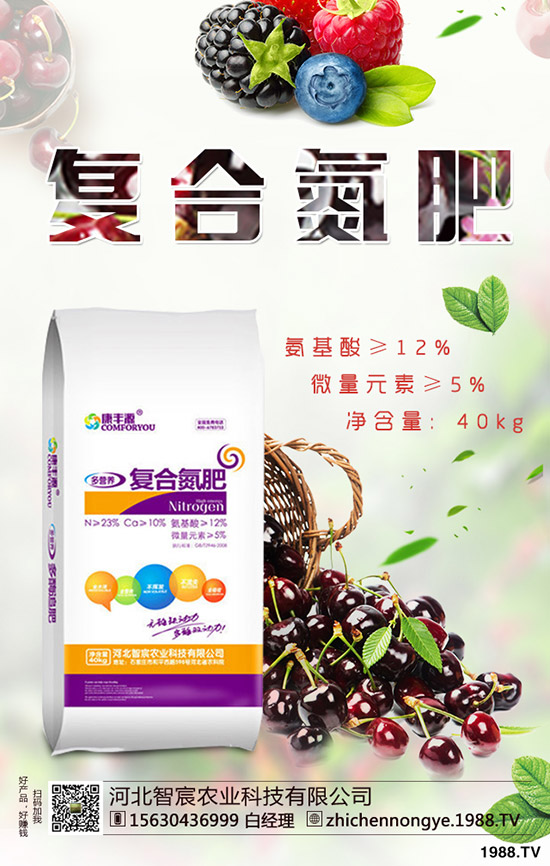 2019.11.29������ӯ̝��߅��ԇ̽���������������Ј���r��