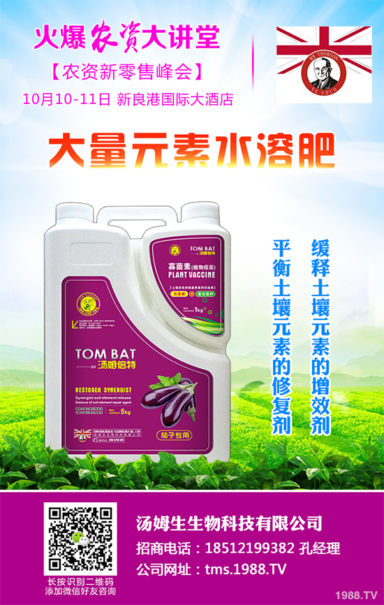     白皮松多少錢一棵呢？有哪些價值？