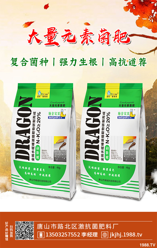 白皮松移栽后枯黃是咋回事？該怎么解決？快來看看吧