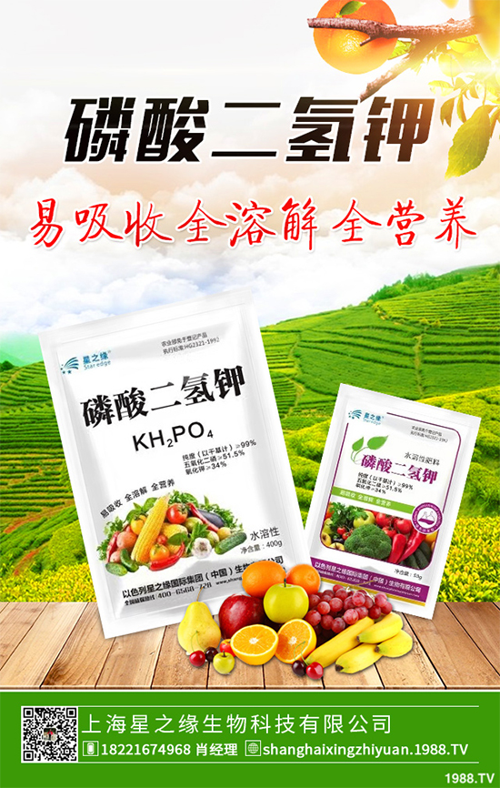花椰菜花球出現(xiàn)異常是什么原因？該如何解決？快來看看吧！