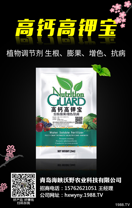 �Ϳ��Nֲǰ��Ҫ�ʂ���Щ�������Ϳ��Nֲ��������Щ��