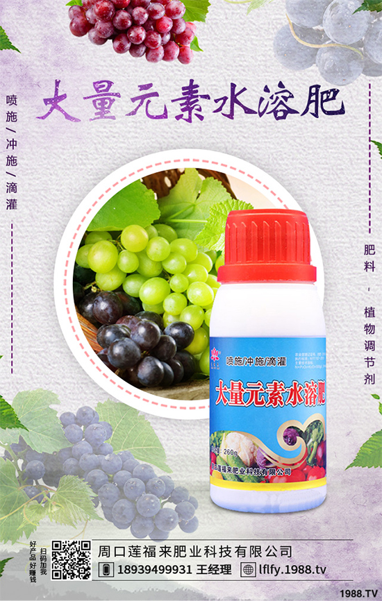 ���Ҵ�������ԓ�����������������߮a(ch��n)���༼�g(sh��)