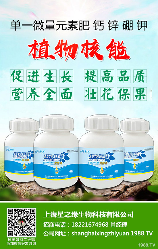 ѿ�����ӷNֲ��ѿ�˷Nֲ���g(sh��)���˽���٣�