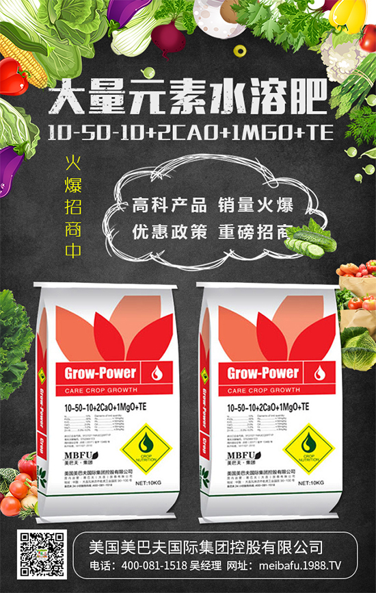 2020��Nֲʲô�߲˒��X�᣿2020��Nֲʲô�߲�ǰ������