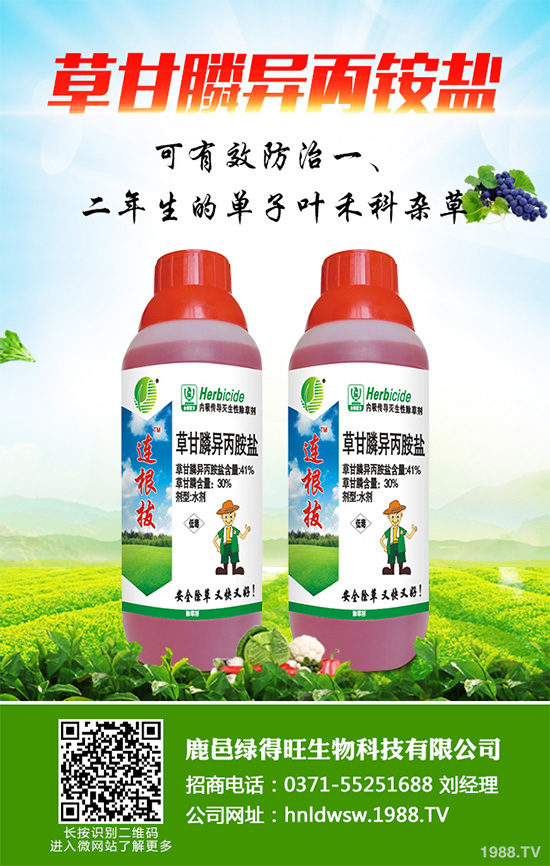精喹禾靈