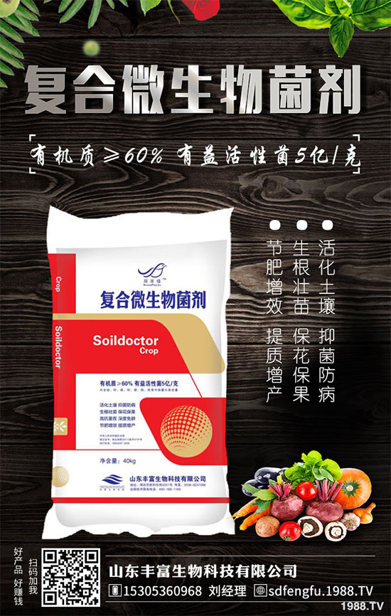 �P����������خa(ch��n)��2020��Nֲǰ�������