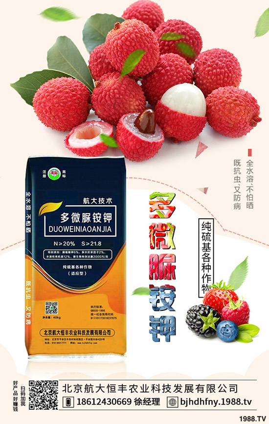 茄子早衰是什么原因？哪些方法能夠預(yù)防茄子早衰？