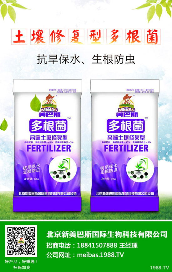 ���[��������c����Щ�����[��ʩ�ʼ��g(sh��)��ʲô��