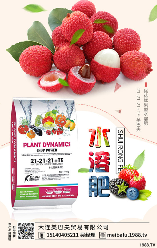 2019-12-19���@�r�����f�Ӹ߲��������؅^(q��)���@���������