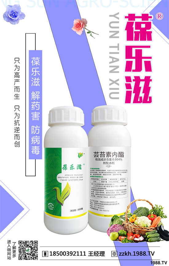 ��Ҭ�˺ڸ���Σ������Щ����Ҭ�˺ڸ����ķ��δ�ʩ��