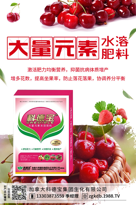 2019-12-21���؃r������ӑB(t��i)�������Xһ����