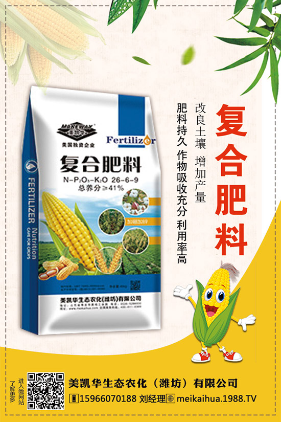     2019�������һ�@��������r(ji��)��C�Ϸ�����(b��o)����