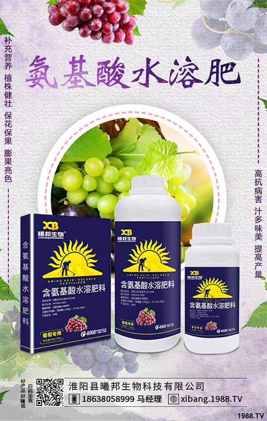 ����Nֲʲô��ٍ�X(qi��n)��2020���ߴ�ٍ�X(qi��n)�Nֲ�(xi��ng)Ŀ�����(l��i)��������